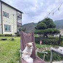 섬진강하늘풍경 민박 | 펜션 ,애견동반펜션 돌판삼겹살에 섬진강뷰 감성 제대로 느낄수있는 구례낭만여행/ 구례섬진강하늘풍경펜션