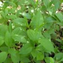 생선횟집 이미지