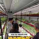 양승주농장 네이버블로그
