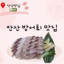 본오로 | 안산 대방어 맛집 내돈내산 본오로수산 스끼다시 잘나오는곳