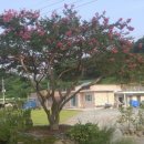 보성로뎀 이미지