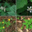 사색의길(명재고택) 이미지