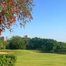 (주)원메디팜 | 에어컨 설치로 여름에도 시원하게 라운드를 즐길 수 있는 중국 선전(심천) 팜 아일랜드 C.C 여행 후기