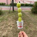 여름과 가을사이 2편 (사마귀, 지렁이, 잠자리… 곤충 주의)