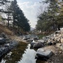 230401~230402:: 네번째 벚꽃캠핑 [용인 문수산오토캠핑장]