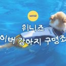 위니즈몰