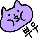 비다벨로 이미지