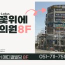 연꽃위에한의원 네이버블로그