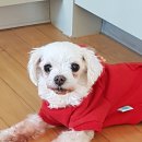 별사랑동물병원 이미지