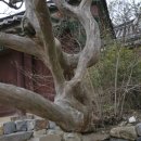 한국의 유네스코 세계유산 이미지