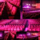 울주공연배달 1회 | 동춘서커스 완벽 가이드! 100년 역사 서커스 입장료 할인 공연시간 주차 명당자리 총정리 (미우새 방영)