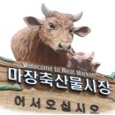 마장 축산물시장 이미지