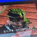 골프존파크 위례중앙광장점 | 니아이커피 위례 광장 카페 | 푸딩 라떼 맛집 반려견 동반 가능 카페