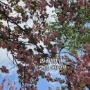 완산-124 이미지