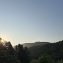 연화도감 이미지