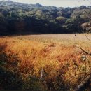 남원읍-40 이미지