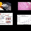 바이오 | GSK '30개 이상 파이프라인 중단'...4개 질환에 집중 | 한국바이오협회 이미지