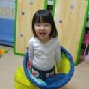 콩콩 & 조이 이미지