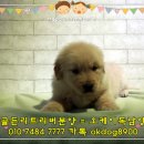 오케이주점