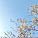 유곡산방 | 화천숙소 화천한옥숙소 호캉스 태교여행 유곡산방