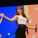 홍블리