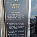 단짠아쿠아 평화점 이미지