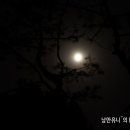 큰바위펜션 이미지
