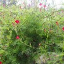 물돌이민박 이미지