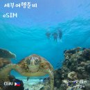 세부 아이랑 여행 준비물 필수품 eSIM(이심) 등록법 & 7,8월 날씨 총정리
