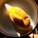금광산성 | 남한산성역 근처 소금빵 맛집 InBite 가서 소금빵 쓸어온 후기