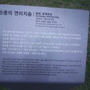 순흥의 연리지송 이미지