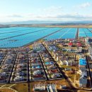 필승농장 이미지