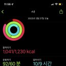 마제하루 - 양천구 목동중앙북로4길 10 | 마제하루