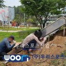 밀양초등학교 이미지