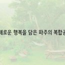 파베뉴(Pavenue) 이미지