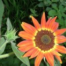 서림농원 이미지