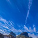 백운면 2049 이미지