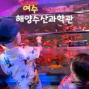 홍해수산 | 전남 여수 해양수산과학관 박물관 아이랑 방문후기