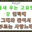 MR - 물새 우는 언덕/백설희 이미지