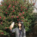 마니목장 이미지