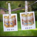 웃담