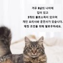 불로 이미지