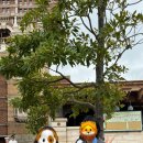 유창캐스터 이미지