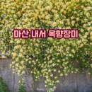 내서읍384 이미지