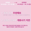 2024 경주 대릉원돌담길 벚꽃축제 이미지