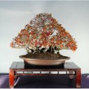 소사4로 이미지