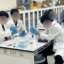 야탑고등학교 | 비타민C와 퀘르세틴의 항산화 정도를 분석해보자! [DPPH Assay25.6.18 성남시 야탑고등학교]