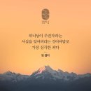 사무엘하 18:1 - 18:15황당한 우연에 담긴 하나님 심판 이미지