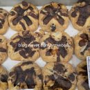 아우어펫 이미지