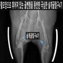 쥬만지동물의료센터 이미지